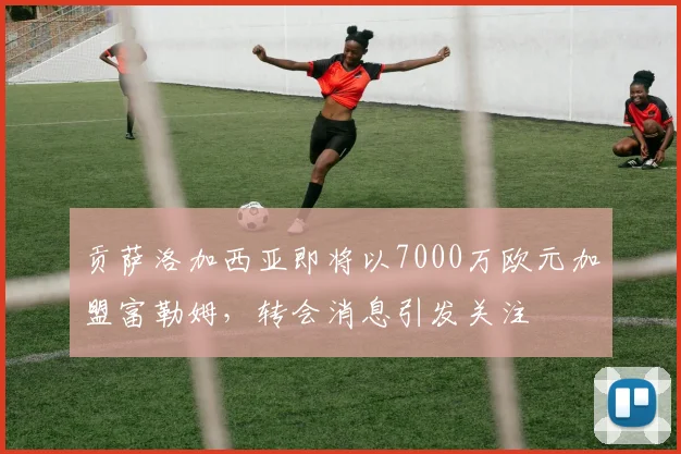 贡萨洛加西亚即将以7000万欧元加盟富勒姆，转会消息引发关注