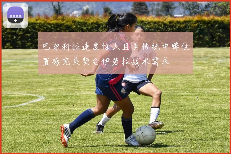 巴尔科拉速度惊人且具传统中锋位置感完美契合伊劳拉战术需求